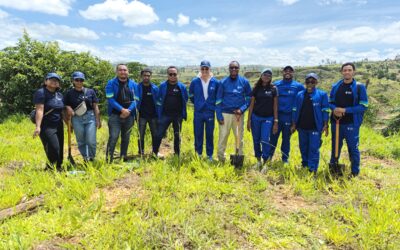 Reboisement 2026 : la CGHV réaffirme son engagement environnemental aux côtés de ses partenaires !